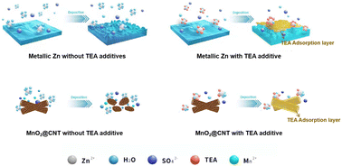 Graphical abstract: Highly reversible aqueous zinc-ion battery using the chelating agent triethanolamine as an electrolyte additive