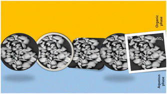 Graphical abstract: Spontaneous formation of barium sulfate crystals at liquid–liquid interfaces