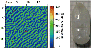 Graphical abstract: Ultra-high piezoelectric properties and labyrinthine-domain structure in (K,Na)(Ta,Nb)O3 with phase boundaries