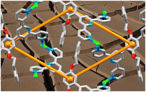 Graphical abstract: Multitopic 3,2′:6′,3′′-terpyridine ligands as 4-connecting nodes in two-dimensional 4,4-networks