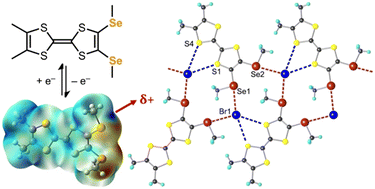 Graphical abstract: Oxidation-induced activation of chalcogen bonding in redox-active bis(selenomethyl)tetrathiafulvalene derivatives