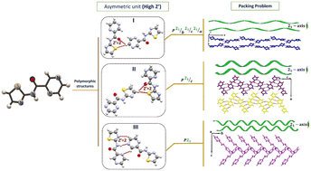 Graphical abstract: Polymorphism in carboxamide compounds with high-Z′ crystal structures