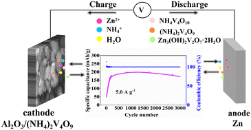 Graphical abstract: Constructing an Al2O3/(NH4)2V4O9 heterostructure as a cathode material for high performance aqueous rechargeable zinc ion batteries