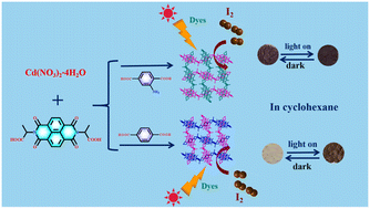 Graphical abstract: Construction of naphthalene diimide-based cadmium complexes and their application in iodine adsorption, photochromism, and photocatalysis