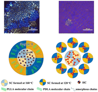 Graphical abstract: Effect of CO2 on the crystallization of poly(lactic acid) homo-crystallites via influencing the crystal structure of stereocomplex crystallites