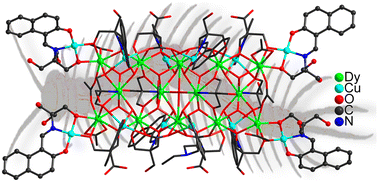 Graphical abstract: Structure and assembly mechanism of a centipede-shaped high-nuclear Dy14Cu12 heterometallic nanocluster