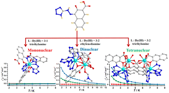 Graphical abstract: Syntheses, structures and magnetic properties of mononuclear, dinuclear and tetranuclear dysprosium(iii) complexes based on azotetrazole-3-hydroxy-2-naphthoic acid