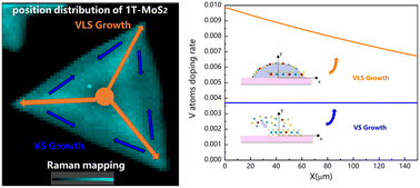 Graphical abstract: Manipulation of the 1T-MoS2 domain in a 2H-MoS2 main phase induced by V-doping via a CVD vapor–liquid–solid mechanism