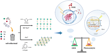 Graphical abstract: Three novel coordination polymers as bifunctional materials for the photocatalytic degradation of dyes and the oxygen evolution reaction in alkaline solutions