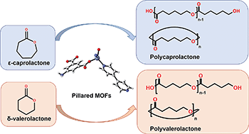 Graphical abstract: Pillared MOFs: structure and ring opening polymerization of cyclic esters