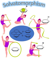 Graphical abstract: Synthesis of a series of Pd(ii) complexes of the type [Pd(1,10-phen)(SRF)2]: an interesting case of solvatomorphism