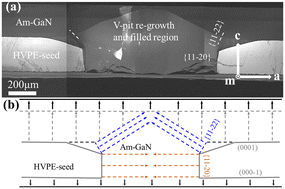 Graphical abstract: Evolution of V-pits in the ammonothermal growth of GaN on HVPE-GaN seeds