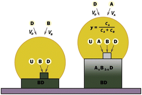 Graphical abstract: Interfacial profile of axial nanowire heterostructures in the nucleation limited regime