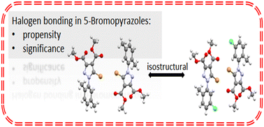 Graphical abstract: Crystal structures of 5-bromo-1-arylpyrazoles and their halogen bonding features