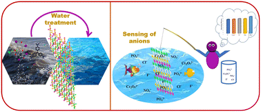 Graphical abstract: Bifunctional bis(2-carboxyethyl)isocyanurate crystal for high-performance photocatalytic degradation of rose bengal dye and luminescence sensing of PO43−, NO3−, Cl−, Cr2O72− and F− ions