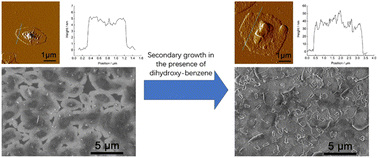 Graphical abstract: Twin suppression effect of dihydroxy-benzene isomers during the secondary growth of b-oriented zeolite MFI nanosheet films