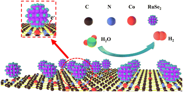 Graphical abstract: Anchored RuSe2 nanospheres on Co–N–C nanosheets boost electrocatalytic alkaline hydrogen evolution