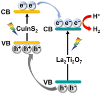 Graphical abstract: Construction of a CuInS2/La2Ti2O7 heterojunction for highly efficient hydrogen evolution