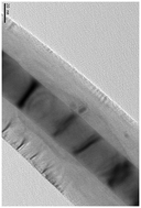 Graphical abstract: Possible interplay of tangential and perpendicular modes in the growth of Fe-filled carbon nanotubes