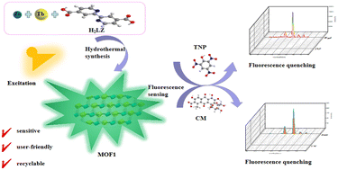 Graphical abstract: Heterometallic organic framework: a highly selective functional probe for carmine and TNP molecules