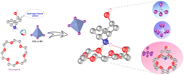 Graphical abstract: Revealing the order–disorder type phase transition mechanism in two new supramolecular clathrates