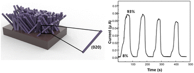 Graphical abstract: Single-step growth of MoO3 nanorods via magnetron sputtering