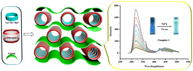 Graphical abstract: 4,4′-Biphenyldisulfonic acid induced coordination polymers of symmetrical tetramethyl cucurbit[6]uril with alkaline-earth metals for detection of antibiotics