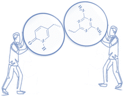 Graphical abstract: Missing puzzle in crystal engineering: 2-pyridone and [1,3,5]-triazine-2,4-diamine, the two most common cyclic hydrogen bonding sticky sites, in a single core