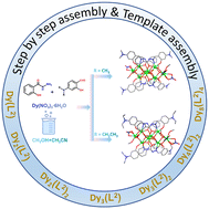 Graphical abstract: Double butterfly-shaped octanuclear dysprosium clusters: structure, magnetism and assembly mechanism