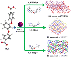 Graphical abstract: Three multi-responsive luminescent Zn-CPs for the detection of antibiotics/cations/anions in aqueous media