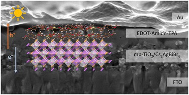 Graphical abstract: Behind the scenes: insights into the structural properties of amide-based hole-transporting materials for lead-free perovskite solar cells