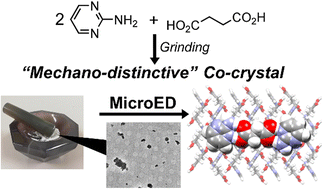 Graphical abstract: Microcrystal electron diffraction (MicroED) structure determination of a mechanochemically synthesized co-crystal not affordable from solution crystallization