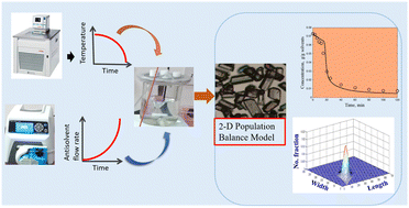 Graphical abstract: Two-dimensional population balance modelling and validation of combined cooling and antisolvent crystallization of l-asparagine monohydrate