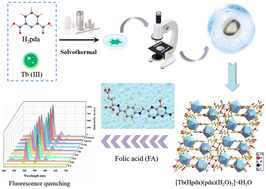 Graphical abstract: Terbium(iii)-based coordination polymer with millimeter-size single crystals and high selectivity and sensitivity for folic acid