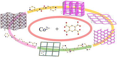Graphical abstract: Co(ii) coordination polymers supported by a benzenetetracarboxylate and bis-pyridyl-bis-amides with different flexibilities