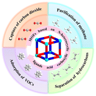Graphical abstract: Porous functional metal–organic frameworks (MOFs) constructed from different N-heterocyclic carboxylic ligands for gas adsorption/separation
