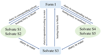 Graphical abstract: Mechanistic study of the formation of arbutin polymorphs and solvates