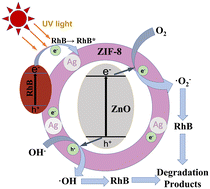 Graphical abstract: Synergistic surface modulation of Ag/ZnO@ZIF-8 hybrid microspheres for enhanced photocatalytic degradation efficiency of rhodamine B