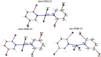 Graphical abstract: Halogen bond and polymorphism in trans-bis(2-iodo-5-halopyridine)dihalocopper(ii) complexes: crystallographic, theoretical and magnetic studies