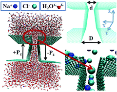Graphical abstract: Asymmetric transport and desalination in graphene channels