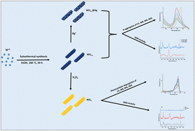 Graphical abstract: Catalytic and SERS activities of WO3-based nanowires: the effect of oxygen vacancies, silver nanoparticle doping, and the type of organic dye