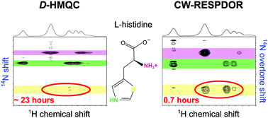 Graphical abstract: Detection of remote proton–nitrogen correlations by 1H-detected 14N overtone solid-state NMR at fast MAS