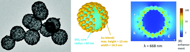 Graphical abstract: Monitoring the gold nanoshell growth mechanism: stabilizing and destabilizing effects of PEG-SH molecules