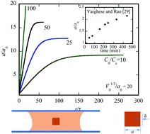 Graphical abstract: Modeling analysis of the growth of a cubic crystal in a finite space