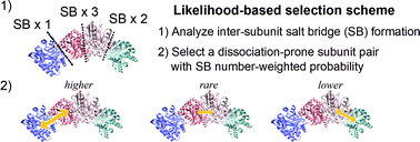 Graphical abstract: Computational prediction of heteromeric protein complex disassembly order using hybrid Monte Carlo/molecular dynamics simulation