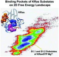 Graphical abstract: Identification of functional substates of KRas during GTP hydrolysis with enhanced sampling simulations
