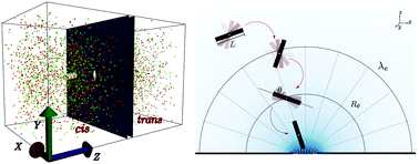 Graphical abstract: Capture and translocation of a rod-like molecule by a nanopore: orientation, charge distribution and hydrodynamics