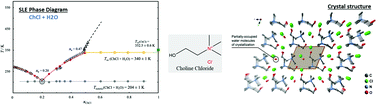 Graphical abstract: Extensive characterization of choline chloride and its solid–liquid equilibrium with water