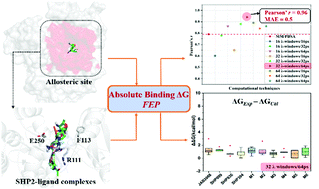 Graphical abstract: Accurate calculation of absolute free energy of binding for SHP2 allosteric inhibitors using free energy perturbation