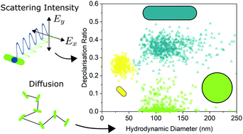 Graphical abstract: Determining nanorod dimensions in dispersion with size anisotropy nanoparticle tracking analysis